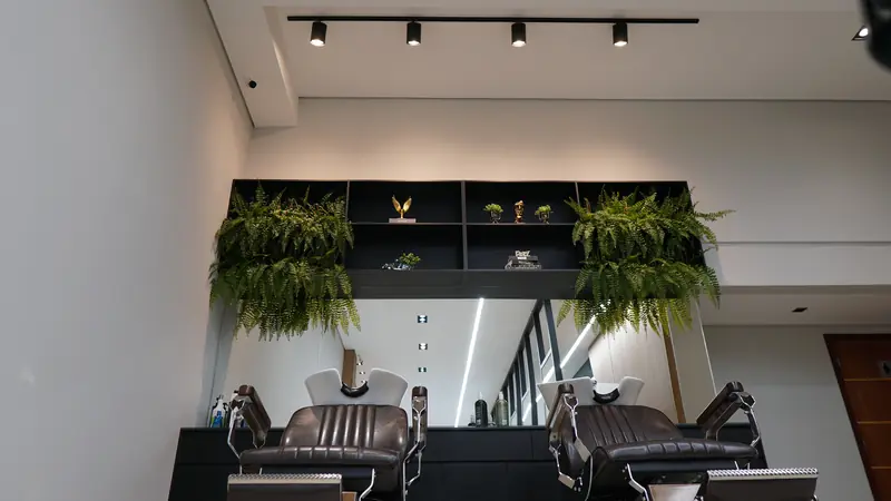 Prateleiras decoradas com plantas e troféus